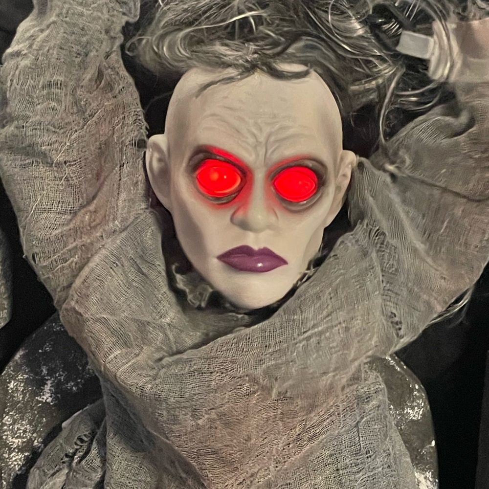 Light up doll that talks